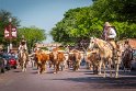 113 Fort Worth